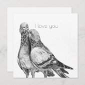 Pigeon-Umarmung Postkarte (Vorne/Hinten)