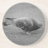 Pigeon Untersetzer (Vorne)