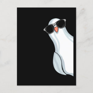 Pigeon White King Fencing Men Pigeon Racing Taube Postkarte