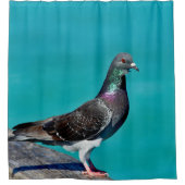 Pigeon With A View Duschvorhang (Vorderseite)