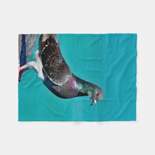 Pigeon With A View Fleecedecke (Vorderseite (Horizontal))