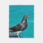 Pigeon With A View Fleecedecke (Vorderseite)