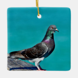 Pigeon With A View Keramikornament