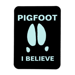 Pigfoot - Ich glaube Magnet