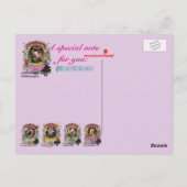 Piggienini Funny Pig Animal Composer Paganini Postkarte (Rückseite)