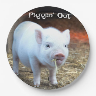 Piggin'Out Farm Life Paper Plate Pappteller