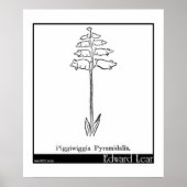 Piggiwiggia Pyramidalis. Poster (Vorne)