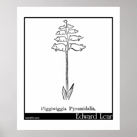 Piggiwiggia Pyramidalis. Poster (Vorne)