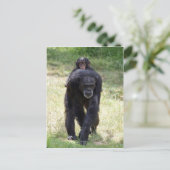 Piggy Back Mum Postkarte (Stehend Vorderseite)