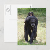 Piggy Back Mum Postkarte (Vorne/Hinten)