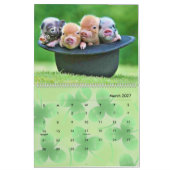 Piggy Calendar 2024 Kalender (Mär 2027)