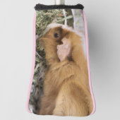 Piggy Golf Head Cover Headcover (Rotieren 90)