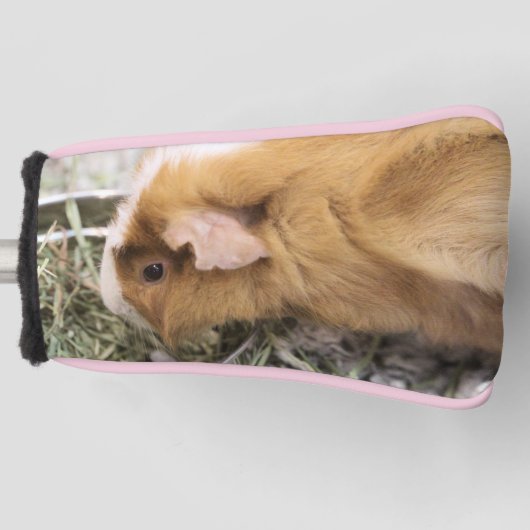 Piggy Golf Head Cover Headcover (Vorderseite)