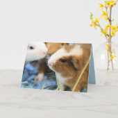 Piggy Karte (Gelbe Blume)