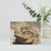 Piggyback Toads Postkarte (Stehend Vorderseite)