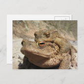 Piggyback Toads Postkarte (Vorne/Hinten)