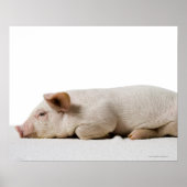 Piglet-Down-Profil Poster (Vorne)