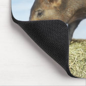 Piglet Eating Mousepad (Ecke)