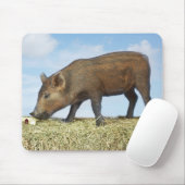 Piglet Eating Mousepad (Mit Mouse)
