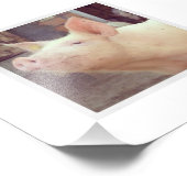 Piglet Fotografie (Ecke)