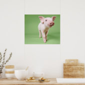 Piglet Stehend Poster (Küche)