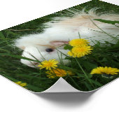 Pigment in Leuchten Poster (Ecke)