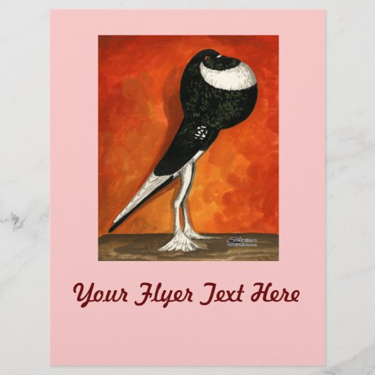 Pigmy Pouter Pigeon Black Pigeon Flyer (Vorne)