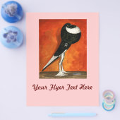 Pigmy Pouter Pigeon Black Pigeon Flyer (Einzeln)