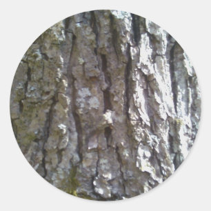 Pignut Hickory Tree Bark Runder Aufkleber