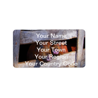 PigPen Pair Peking Schweine Adressaufkleber