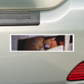 PigPen Pair Peking Schweine Autoaufkleber (Auf Auto)