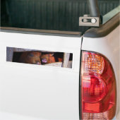 PigPen Pair Peking Schweine Autoaufkleber (Auf Lkw)