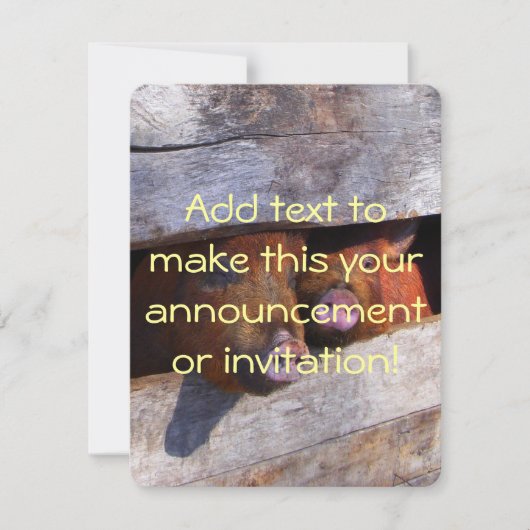 PigPen Pair Peking Schweine Einladung (Vorderseite)