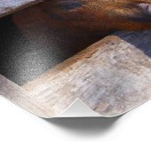 PigPen Pair Peking Schweine Fotodruck (Ecke)