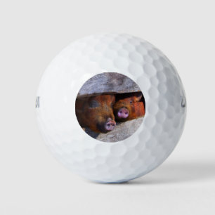PigPen Pair Peking Schweine Golfball