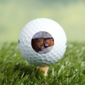 PigPen Pair Peking Schweine Golfball (Insitu T-Shirt)