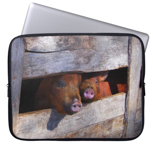 PigPen Pair Peking Schweine Laptopschutzhülle (Vorderseite)