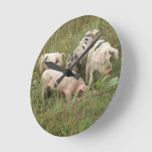 Pigs in a Field Wall Clock Runde Wanduhr (Winkel)
