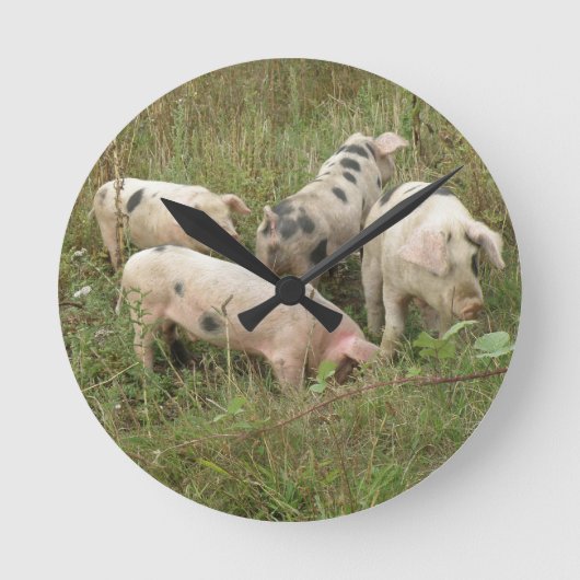 Pigs in a Field Wall Clock Runde Wanduhr (Vorderseite)