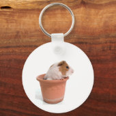 Pigs in Flowerpot Schlüsselanhänger (Vorderseite)