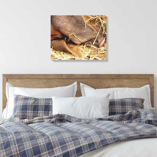 PIGS LEINWANDDRUCK (Insitu (Schlafzimmer))