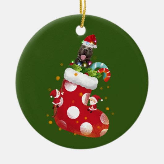 Piitbull With Socking Keramik Ornament (Vorne)