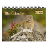 PIka 2023-Kalender Kalender (Titelbild)
