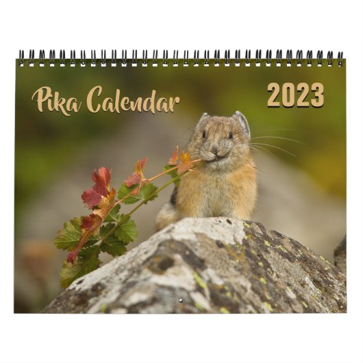 PIka 2023-Kalender Kalender (Titelbild)