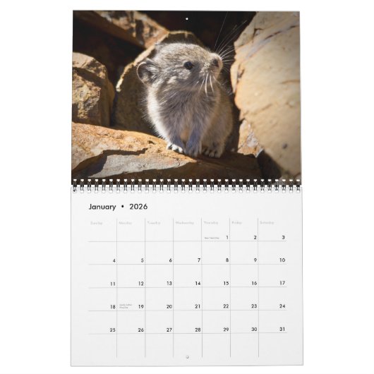 PIka 2023-Kalender Kalender (Jan 2026)