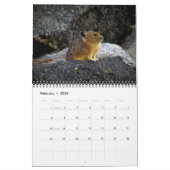PIka 2023-Kalender Kalender (Feb 2026)