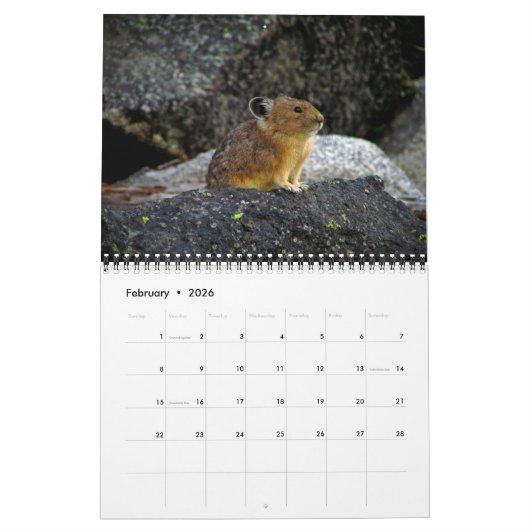 PIka 2023-Kalender Kalender (Feb 2026)