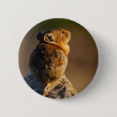 pika button (Vorderseite)