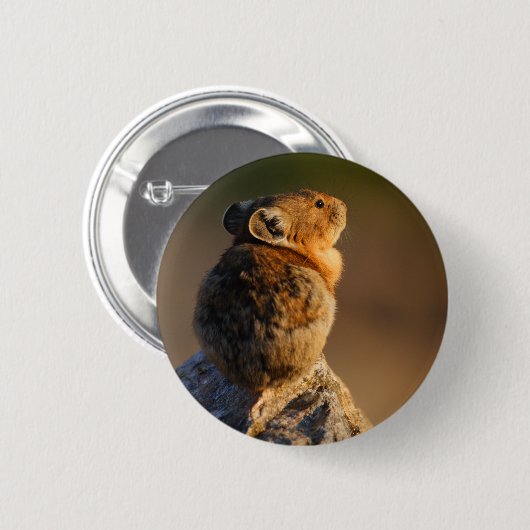 pika button (Vorne & Hinten)