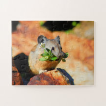 Pika-Chef bei Pflanze